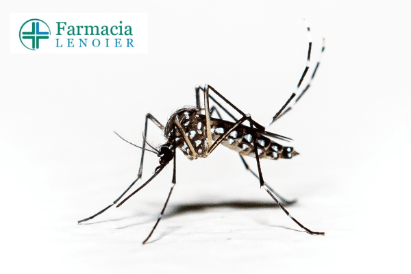 aedes-aegypti