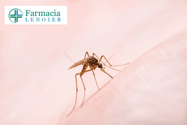 como-prevenir-el-dengue-en-casa